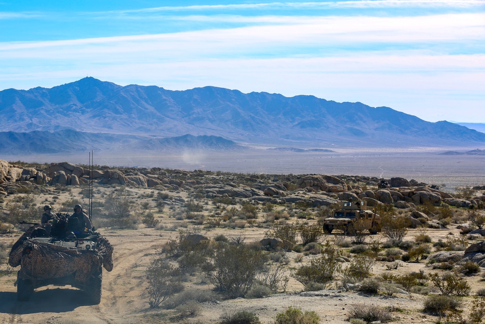 Wheels Rolling: 2nd LAR conducts desert training
