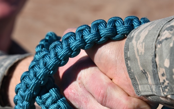 Sheppard Peer-to-Peer program named Best Practice