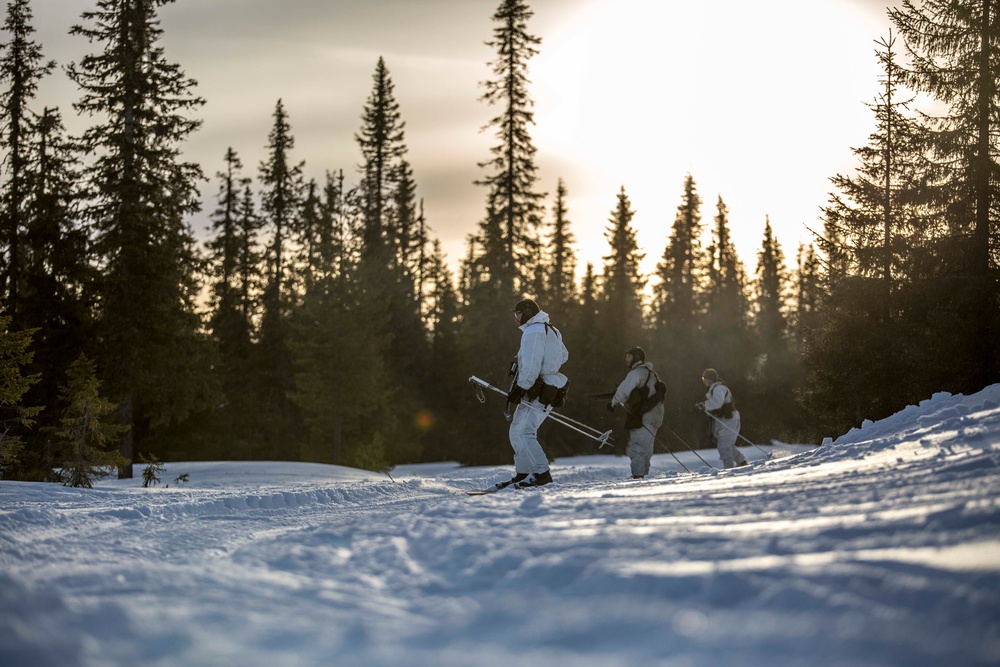 U.S Marines participate in Swedish Basic Winter Warfare Course