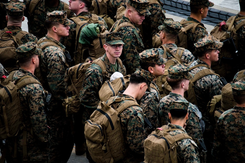 DVIDS - Images - AAVs from 3rd Battalion, 3rd Marine Regiment, embark ...