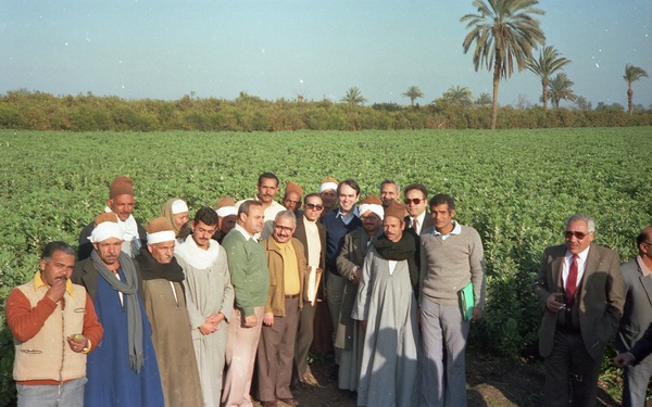 Admin. Woods in Egypt
