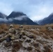 SQUAD LIVE FIRE EXERCISE ,RIVOLI BIANCHI RANGE 1 Feb 2017