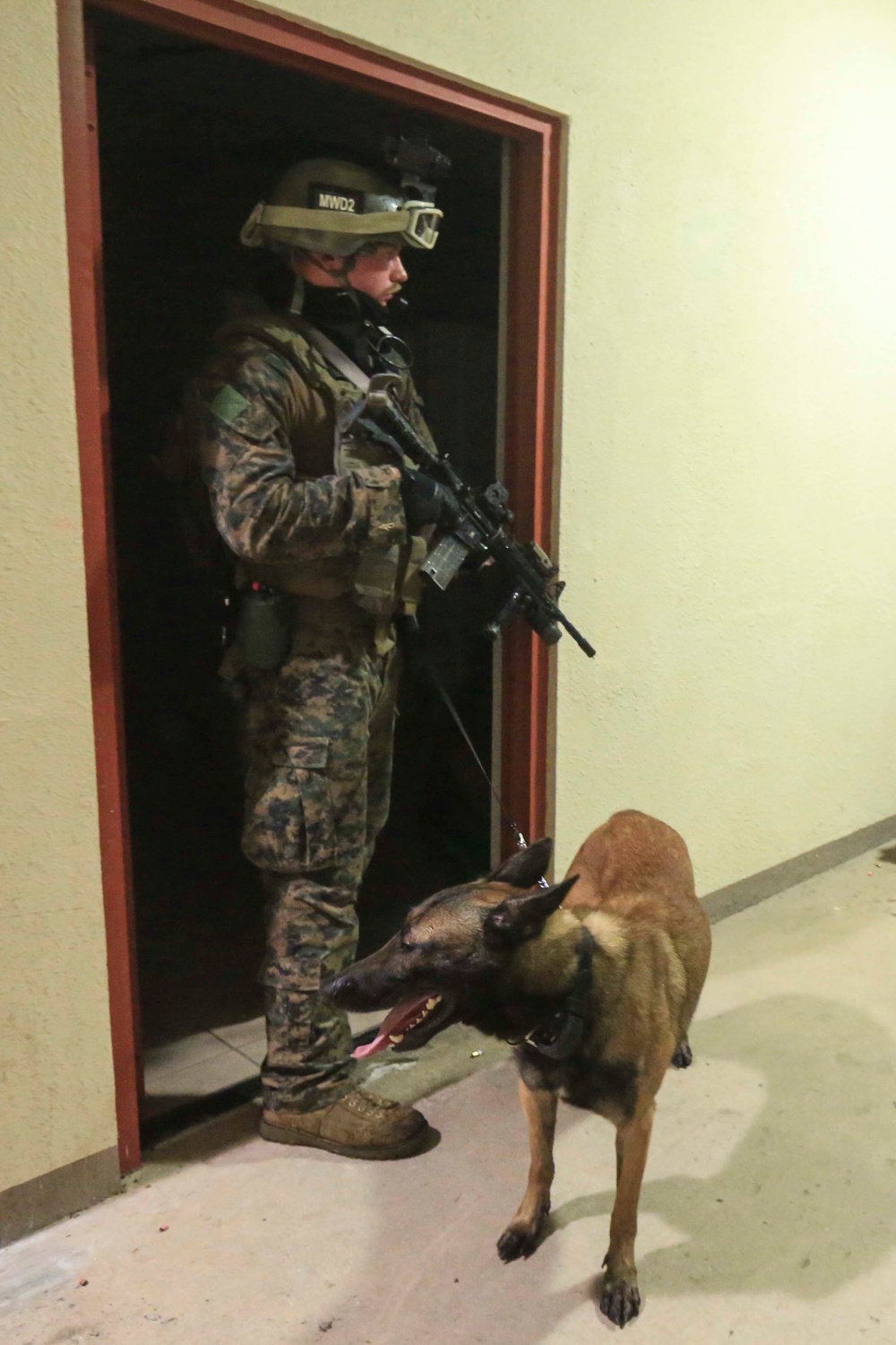 31st MEU Maritime Raid Force refines urban tactics