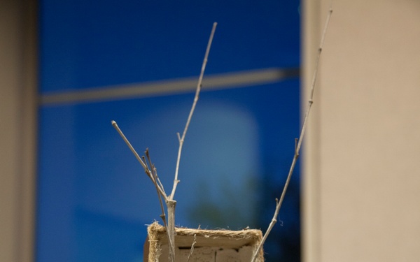 Creativity and Art Resilience Group Art Exhibit