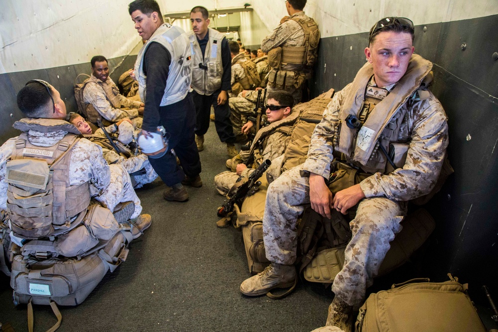 BLT 1/4 Gear Inspection