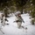 U.S Marines participate in Swedish Basic Winter Warfare Course
