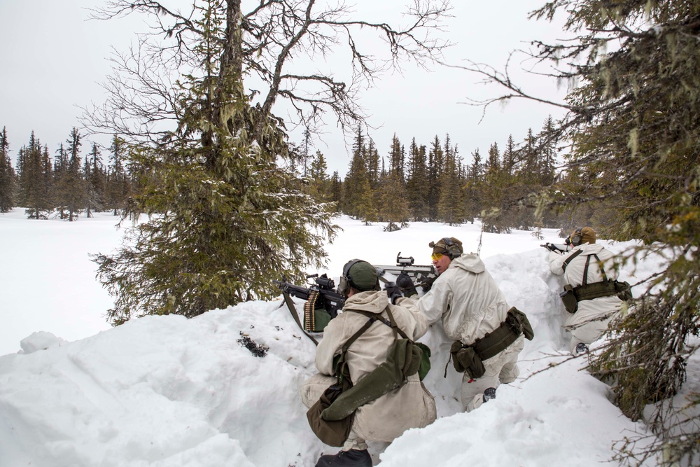 U.S. Marines participate in Swedish Basic Winter Warfare Course