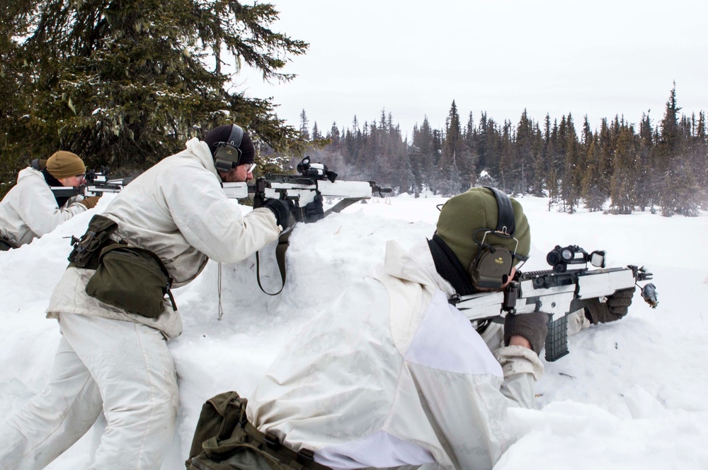 U.S Marines participate in Swedish Basic Winter Warfare Course