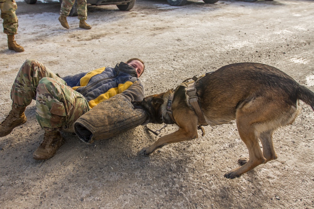 MWD Demonstrates on MPs