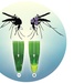 Diagnoskeeter: Diagnosing Mosquito-Borne Viruses ‘On the Fly’