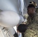 Sailors keep aircraft in shipshape condition