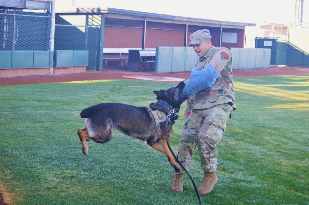 K-9 demonstration thrills Phoenix high school students