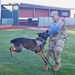 K-9 demonstration thrills Phoenix high school students