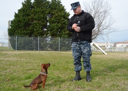 Drug Detector K-9 Certification Begins
