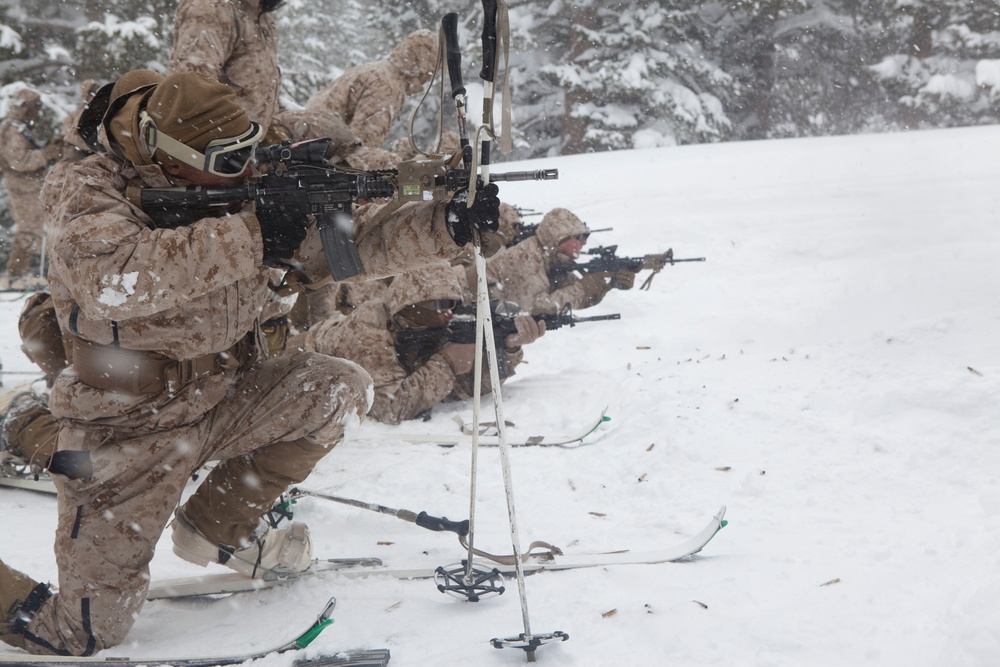 Range 600, Live Fire Range Exercise