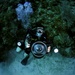 ECC Underwater Photo Training