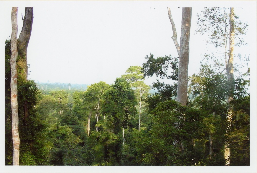 Ghana - 2002