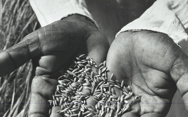 Negative Only - Mixed Regions