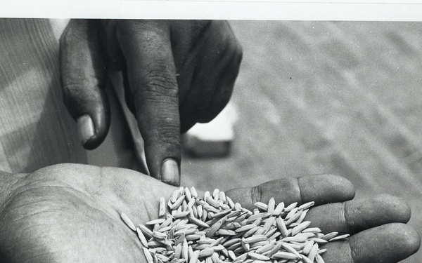 Negative Only - Mixed Regions