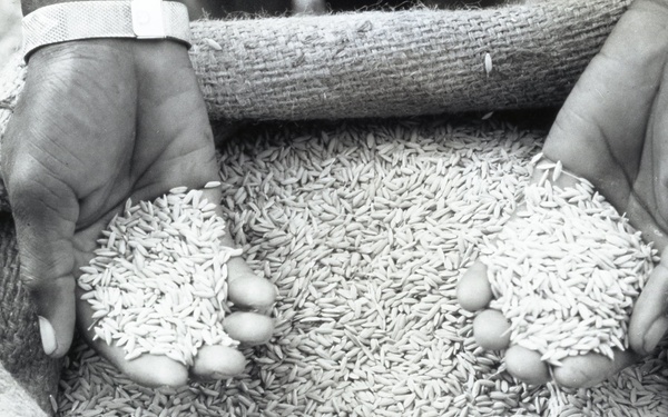 Negative Only - Mixed Regions