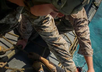 RIMPAC’s lost shots