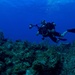 ECC Underwater Phot Training