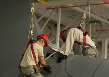 Maintainers remove tail for first time