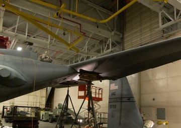 Maintainers remove tail for first time