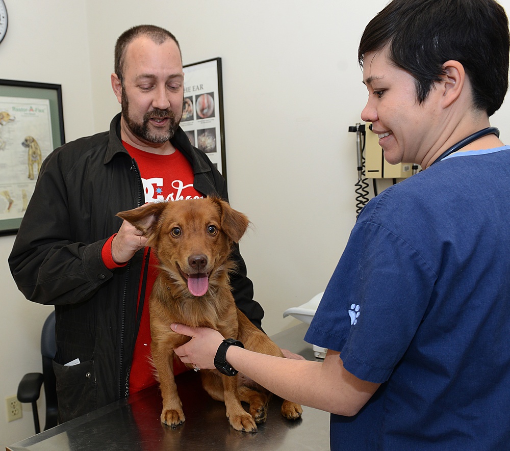 Military veterinarians; taking care of MWDS, pets alike