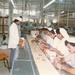 Plant workers at Woodward Factory in Karachi