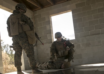 Hands up!: 2nd LE Bn FEX