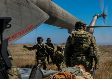 RIMPAC’s lost shots