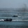 RIMPAC’s lost shots Multiple amphibious assault vehicles (AAVs) are traversing open coastal waters toward a shoreline, likely conducting a military amphibious landing exercise. At least five vehicles are visible moving in a loose formation, with visible exhaust smoke and wake trails. A coastal town or military installation is visible in the background along a sandy shoreline.
