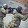 170213-N-N0901-004 Three individuals in multicam camouflage gear are participating in what appears to be a tactical firearms training exercise at an outdoor shooting range. One person is actively aiming a rifle with an optic and rail-mounted accessories, while another appears to be acting as an instructor or range safety officer near a target stand. The setting is a gravel-surfaced range with earthen berms in the background.