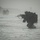 In the CRRC of Time: U.S. Marines and Japanese Soldiers conduct Recon Drills at Exercise Iron Fist Two military personnel in full tactical gear are emerging from shallow surf onto a beach in low-visibility, overcast conditions. The foreground subjects are carrying rifles in a ready/aimed position while wading through breaking waves. Additional personnel are visible in the background, suggesting a coordinated beach assault exercise or amphibious operation.