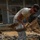 Nations make progress on multipurpose room A military service member wearing US Air Force ABU (Airman Battle Uniform) camouflage pants and a tan t-shirt is actively shoveling dirt and debris at a construction site. Additional personnel in military uniforms are visible in the background near a concrete block building under construction. The scene appears to be a humanitarian assistance or civil engineering project in a tropical or semi-arid environment.