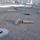 170215-N-JI086-145 The image shows a textured dark surface, likely a military vessel deck or similar platform, with multiple firearm magazines and spent brass casings scattered across it. A red cord or line runs diagonally across the surface. The scene is consistent with a firearms training or qualification exercise aftermath.