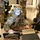 170213-N-N0901-007 A soldier in full combat gear, including a tactical helmet with mounted equipment and body armor, is operating a ruggedized laptop/tablet computer in what appears to be an indoor training or operational environment. Additional personnel in matching multicam camouflage uniforms are visible in the background. The scene suggests a tactical technology operation, possibly drone control, communications, or intelligence gathering.