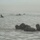 In the CRRC of Time: U.S. Marines and Japanese Soldiers conduct Recon Drills at Exercise Iron Fist Multiple military personnel in full combat gear and helmets are wading through rough ocean surf during what appears to be an amphibious training exercise. The soldiers are partially submerged in choppy waves near a beach under overcast, hazy conditions. At least five individuals are visible at varying distances from the shoreline.