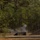 Frag out; Marines participate in grenade assault course The image shows an outdoor military or law enforcement shooting range set against a backdrop of tall pine trees. A shooter appears to be in a prone position behind a low concrete or metal barricade, with visible smoke/dust indicating recent weapons discharge. A yellow warning sign is visible on a concrete structure to the right.