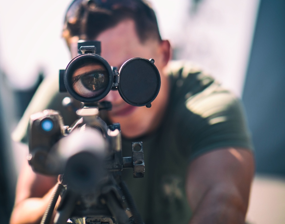 Sniper Snap-in Training