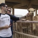 Bahrain City Tour
