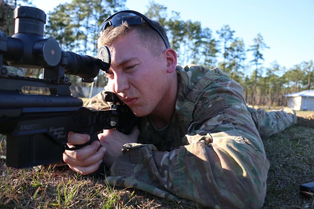 Mustang snipers: one shot, one kill