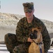 Devil Dogs receive 'paws'itive puppy love