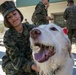 Devil Dogs receive 'paws'itive puppy love