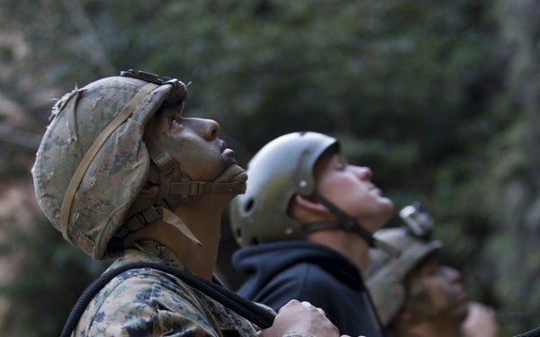 2/5 Jungle Rappelling