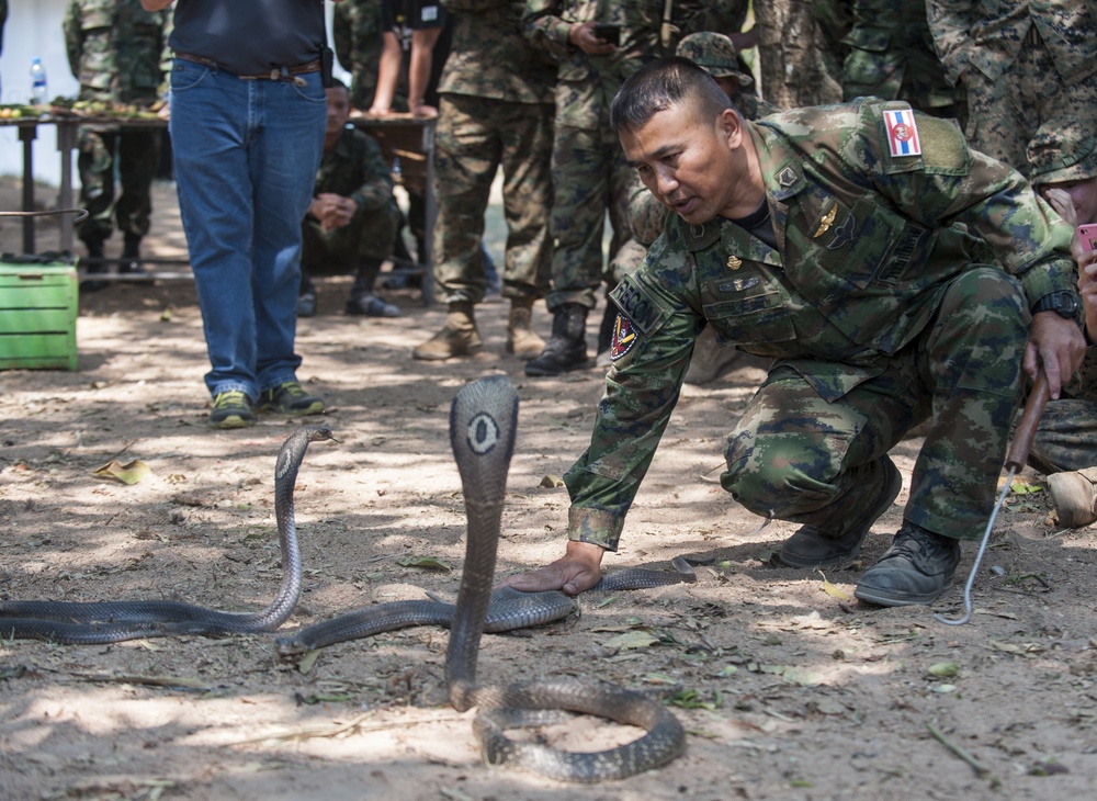 Jungle Survival Training during Cobra Gold 2017