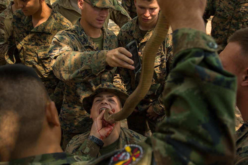 Marines are Snake Eaters