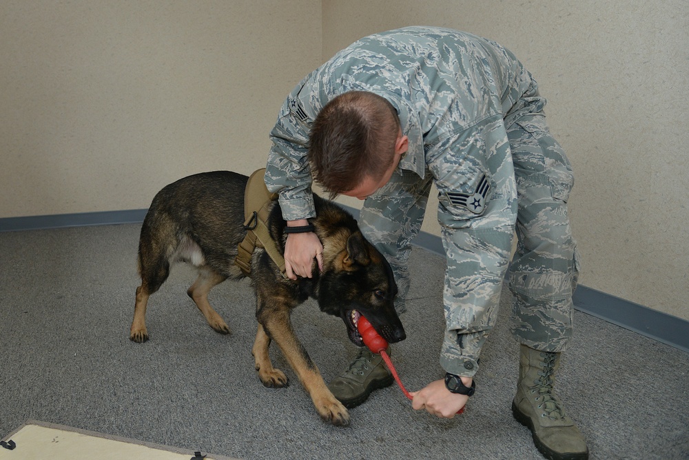 MWD: Powering through new partnership