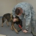 MWD: Powering through new partnership